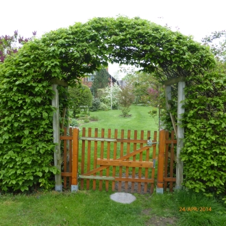 anklicken zum Vergr&ouml;&szlig;ern