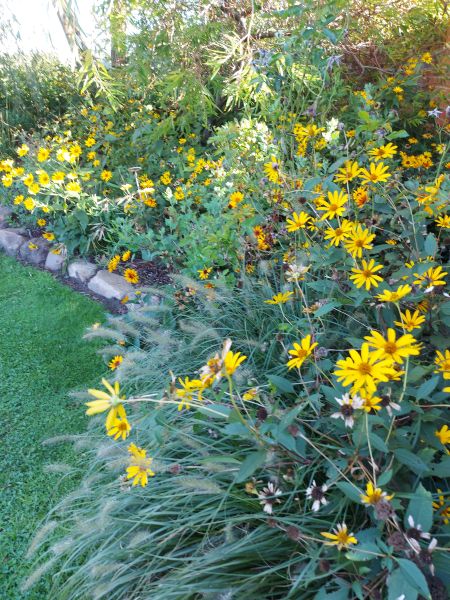 anklicken zum Vergr&ouml;&szlig;ern