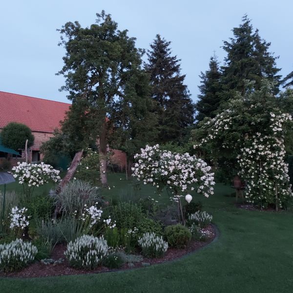 anklicken zum Vergr&ouml;&szlig;ern